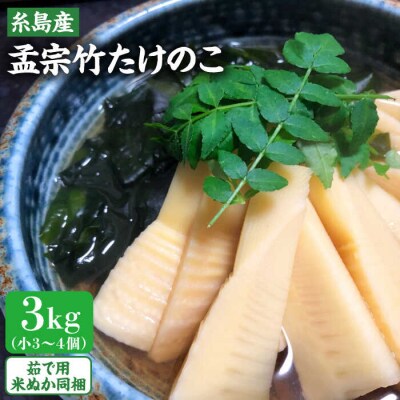 【先行受付中】産地直送「孟宗竹」 3kg 【2025年3月下旬以降順次発送】 [AHC025]