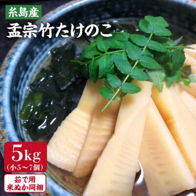 【先行受付中】産地直送「孟宗竹」 5kg 【2025年3月下旬以降順次発送】 [AHC026]