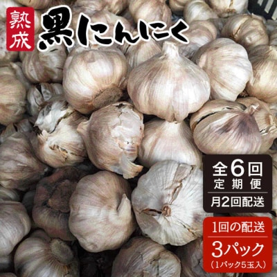 【全6回(月2回) 定期便】 熟成 黒 にんにく 3パック 《糸島》【シーブ】[AHC002]