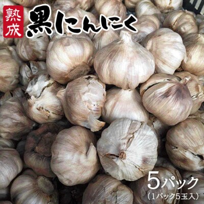 熟成 黒 にんにく ( 5パック ) 《糸島》【シーブ】[AHC003]