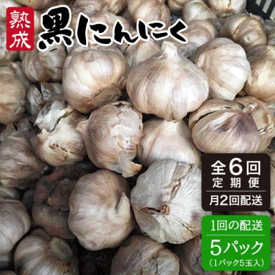 【全6回(月2回) 定期便】熟成 黒 にんにく 5パック《糸島》【シーブ】[AHC004]