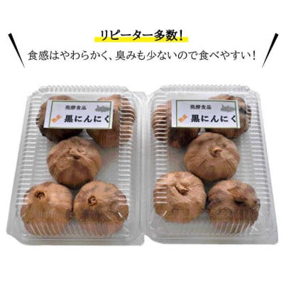 【全6回(月2回) 定期便】熟成 黒 にんにく 5パック《糸島》【シーブ】[AHC004]