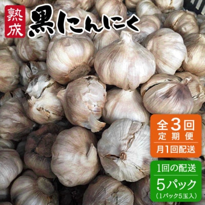 【全3回定期便】熟成 黒にんにく 25玉 ( 1パック 5玉 × 5パック ) [AHC038]