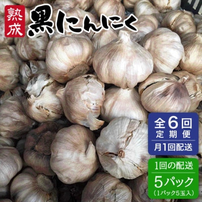 【全6回定期便】熟成 黒にんにく 25玉 ( 1パック 5玉 × 5パック ) [AHC039]