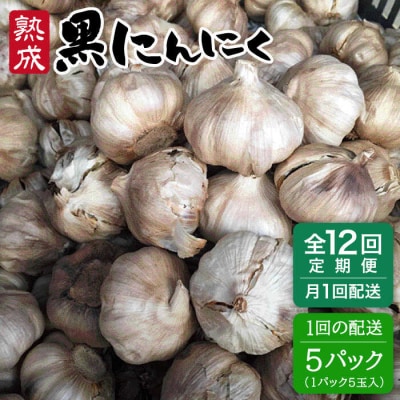 【全12回定期便】熟成 黒にんにく 25玉 ( 1パック 5玉 × 5パック )[AHC040]