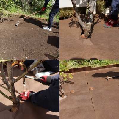 PET製 防草シート 茶 430JP 糸島市 / 株式会社NITTOSEKKO [ATQ004]