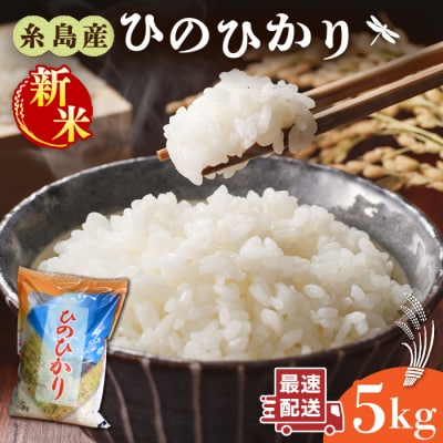 【年内発送】糸島産 ひのひかり 5kg 糸島市/三島商店[AIM003]