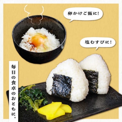 糸島産 ひのひかり 5kg 糸島市/三島商店[AIM003]