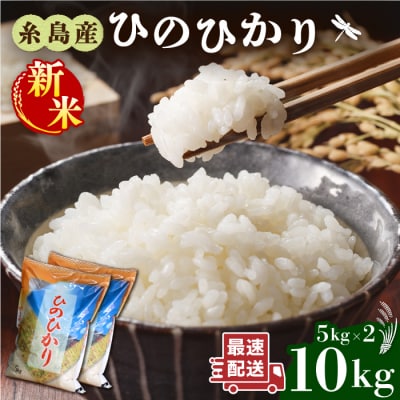 【年内発送】糸島産 ひのひかり 10kg 糸島市/三島商店[AIM004]