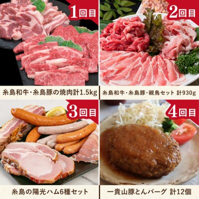 【全12回定期便】糸島・贅沢お肉定期便  [AAH009]