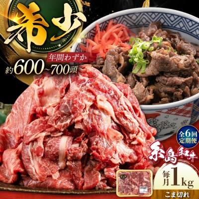 【全6回定期便】糸島和牛 こまぎれ 1kg 糸島市/トラヤミートセンター[AJD019]