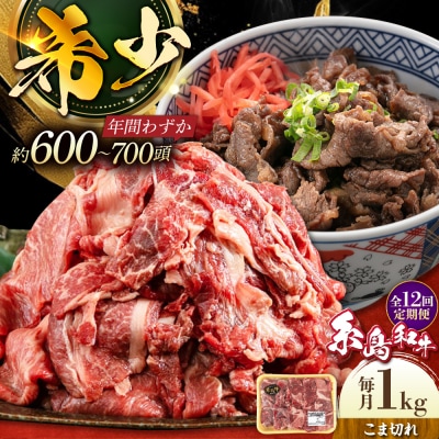 【全12回定期便】糸島和牛こまぎれ1kg 糸島市/トラヤミートセンター[AJD020]