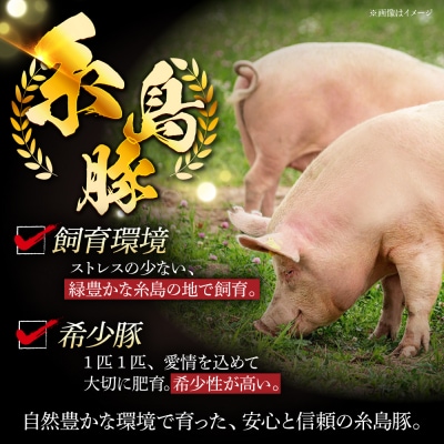 【全3回定期便】糸島豚 バラエティ セット1.6kg 糸島市/トラヤミートセンター[AJD021]