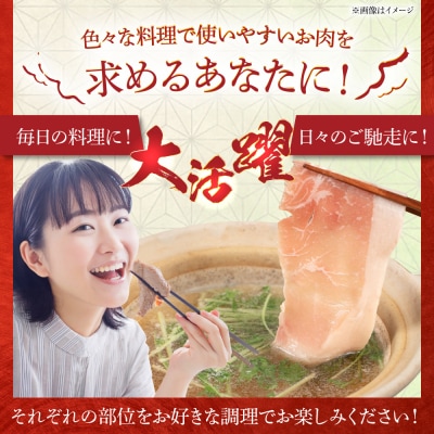 【全12回定期便】4.6kg!糸島豚食べ尽くしセット糸島市/トラヤミートセンター[AJD024]