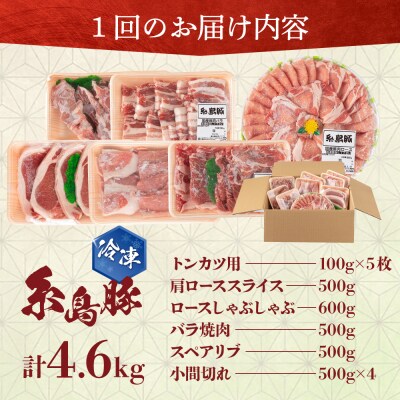 【全12回定期便】4.6kg!糸島豚食べ尽くしセット糸島市/トラヤミートセンター[AJD024]