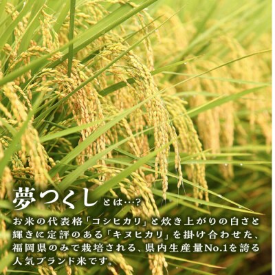 【月2回お届け】【全12回定期便】糸島産 夢つくし 10kg 6ヶ月コース/三島商店[AIM031]