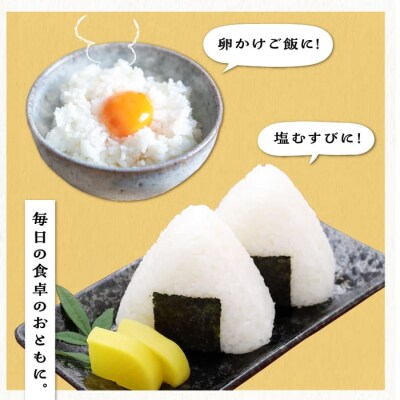 【月2回お届け】【全12回定期便】糸島産 夢つくし 10kg 6ヶ月コース/三島商店[AIM031]