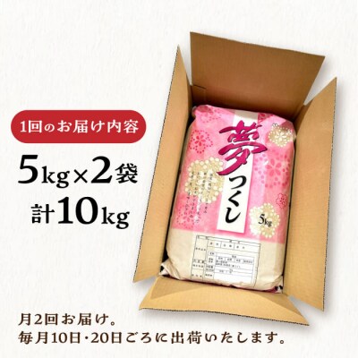 【月2回お届け】【全12回定期便】糸島産 夢つくし 10kg 6ヶ月コース/三島商店[AIM031]