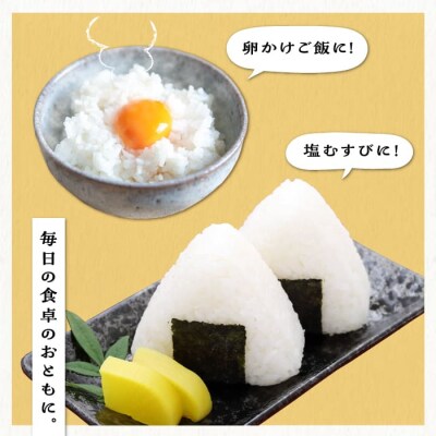 【月2回お届け】【全24回定期便】糸島産 夢つくし10kg 12ヶ月コース/三島商店[AIM032]