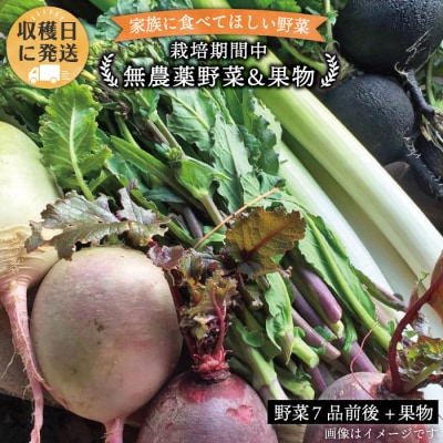 朝採れ!栽培期間中無農薬野菜(7品 前後)セット+果物 [AGE004]