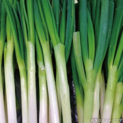 朝採れ!栽培期間中無農薬野菜(7品 前後)セット+果物 [AGE004]