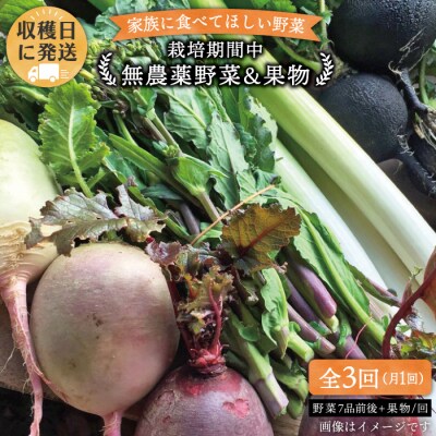 【 全3回定期便】こだわり野菜  ( 7品 前後 ) セット + 果物[AGE007]
