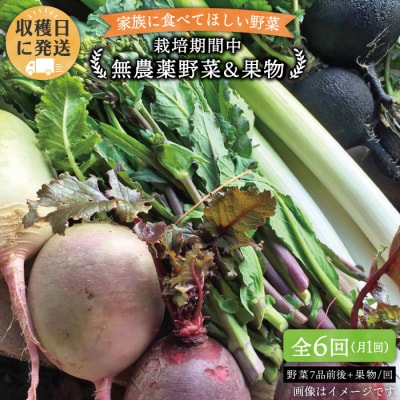 【全6回定期便】こだわり野菜( 7品前後 )セット+果物[AGE010]