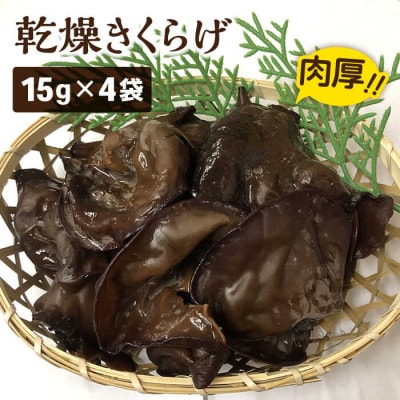 国産 肉厚 乾燥 きくらげ ( 15g × 4セット )《糸島》【きのこファーム】[AFC003]