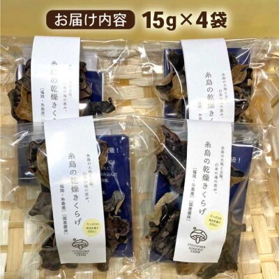国産 肉厚 乾燥 きくらげ ( 15g × 4セット )《糸島》【きのこファーム】[AFC003]