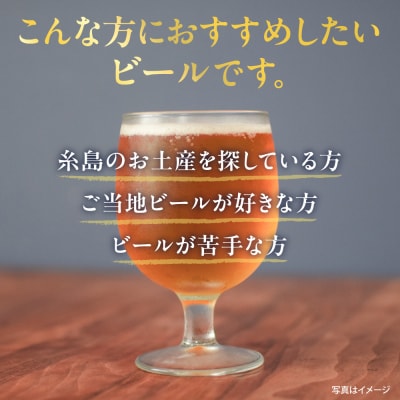 【全6回定期便】いとしまBEER (ペールエール) 330ml×8本 糸島市 [AUA054]