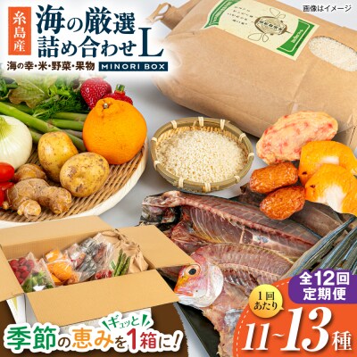 全12回定期便 糸島産 魚 米 野菜 果物 厳選詰め合わせ MINORI BOX L[AOP030]