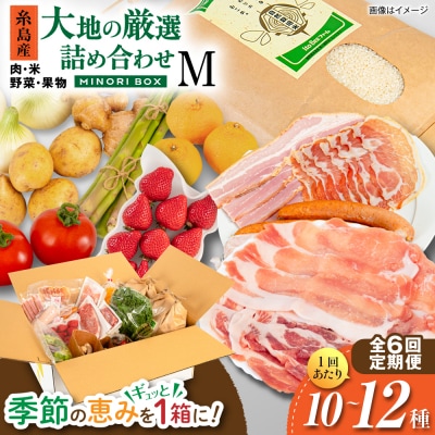 全6回定期便 糸島産 肉 米 野菜 果物 厳選詰め合わせ MINORI BOX M [AOP013]
