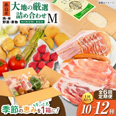 全6回定期便 糸島産 肉 米 野菜 果物 厳選詰め合わせ MINORI BOX M [AOP013]