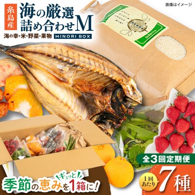 全3回定期便 糸島産 魚 米 野菜 果物 厳選詰め合わせ MINORI BOX M [AOP024]