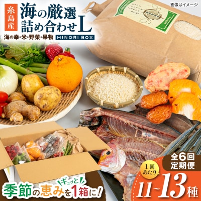 全6回定期便 糸島産 魚 米 野菜 果物 厳選詰め合わせ MINORI BOX L [AOP029]