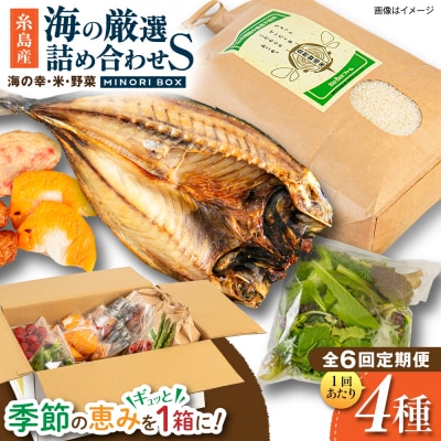 全6回定期便 糸島産 魚 米 野菜 果物 厳選詰め合わせ MINORI BOX S [AOP021]