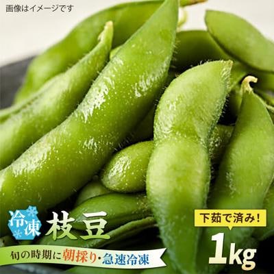 枝豆 1kg 冷凍 旬の時期に急速冷凍 【福岡県糸島産】 [AGE052]