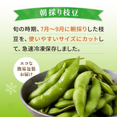 枝豆 1kg 冷凍 旬の時期に急速冷凍 【福岡県糸島産】 [AGE052]