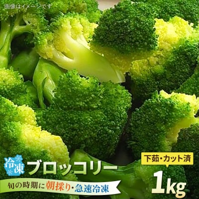 ブロッコリー 1kg 冷凍 旬の時期に急速冷凍 【福岡県糸島産】 [AGE053]