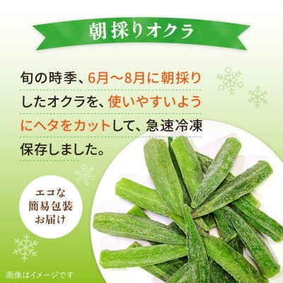 オクラ 1kg 冷凍 旬の時期に急速冷凍 【福岡県糸島産】 [AGE054]