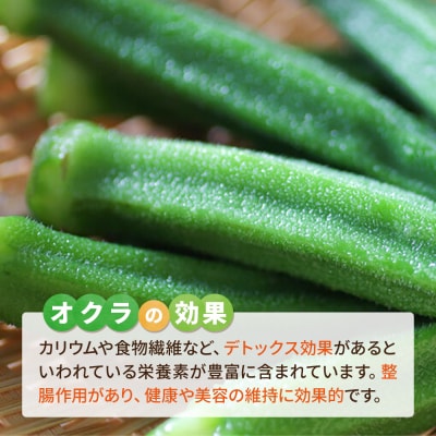 オクラ 1kg 冷凍 旬の時期に急速冷凍 【福岡県糸島産】 [AGE054]