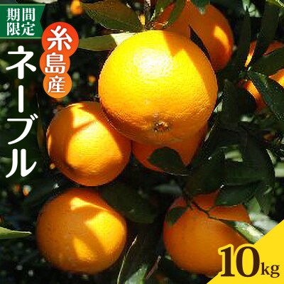 糸島産ネーブル10kg [AHC069]