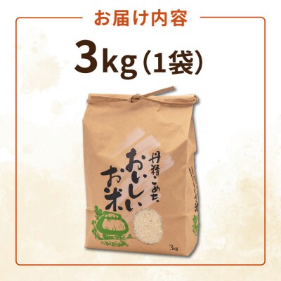 【年内発送】糸島産ヒノヒカリ 3kg/ 平山農園 米 白米 ご飯 お米 3kg [AXN005]