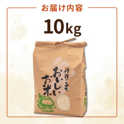 糸島産 ヒノヒカリ 10kg 糸島市 / 平山農園 [AXN006]