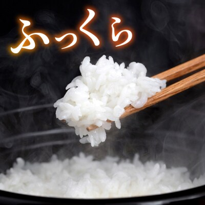 糸島産 ヒノヒカリ 20kg 糸島市 / 平山農園 [AXN007]