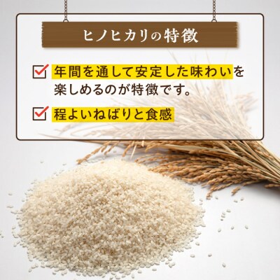 糸島産 ヒノヒカリ 20kg 糸島市 / 平山農園 [AXN007]