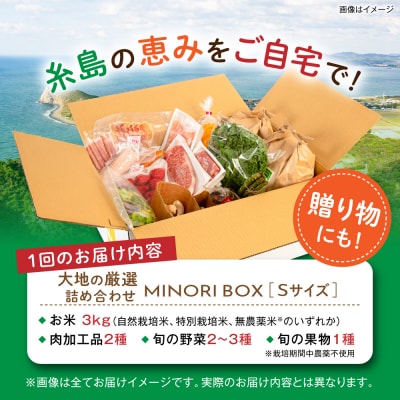 全3回定期便 糸島産 肉 米 野菜 果物 厳選詰め合わせ MINORI BOX S [AOP008]