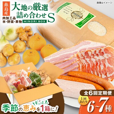 全6回定期便 糸島産 肉 米 野菜 果物 厳選詰め合わせ MINORI BOX S[AOP009]