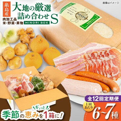 全12回定期便 糸島産 肉 米 野菜 果物 厳選詰め合わせ MINORI BOX S[AOP010]