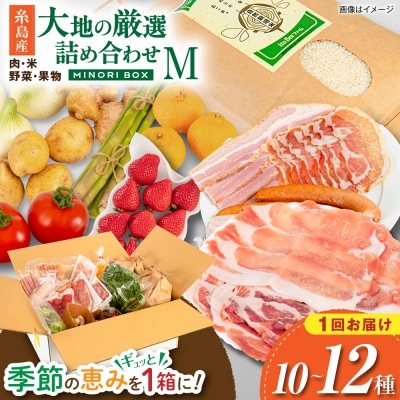 糸島産 肉 米 野菜 果物 厳選詰め合わせ MINORI BOX M [AOP011]